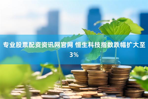 专业股票配资资讯网官网 恒生科技指数跌幅扩大至3%