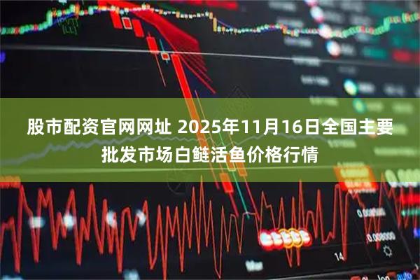 股市配资官网网址 2025年11月16日全国主要批发市场白鲢活鱼价格行情