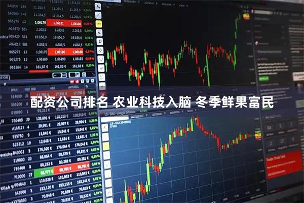 配资公司排名 农业科技入脑 冬季鲜果富民